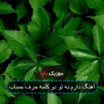 آهنگ دارم به تو دو کلمه حرف حساب