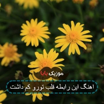 اهنگ این رابطه قلب تورو کم داشت اهنگ این رابطه قلب تورو کم داشت