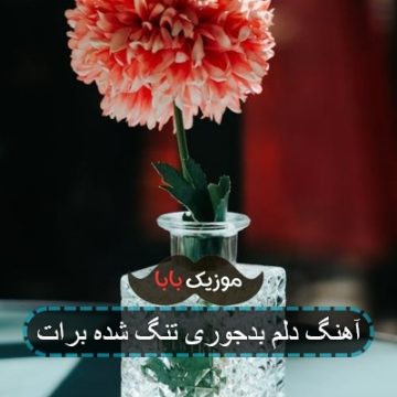 آهنگ دلم بدجوری تنگ شده برات آهنگ دلم بدجوری تنگ شده برات