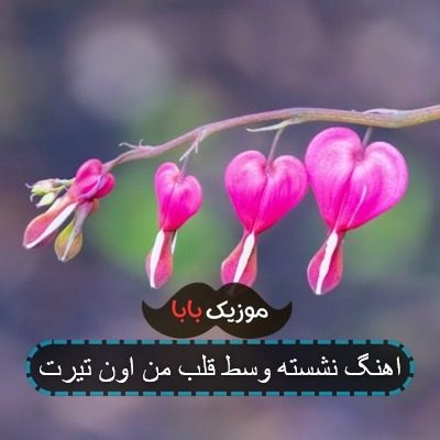 اهنگ نشسته وسط قلب من اون تیرت اهنگ نشسته وسط قلب من اون تیرت