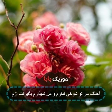 آهنگ سر تو شوخی ندارم و من نمیذارم بگیرنت ازم آهنگ سر تو شوخی ندارم و من نمیذارم بگیرنت ازم