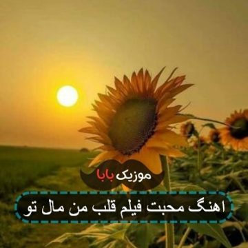 اهنگ محبت فیلم قلب من مال تو
