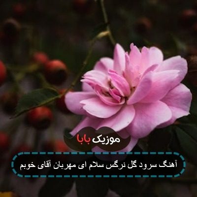 آهنگ سرود گل نرگس سلام ای مهربان آقای خوبم آهنگ سرود گل نرگس سلام ای مهربان آقای خوبم