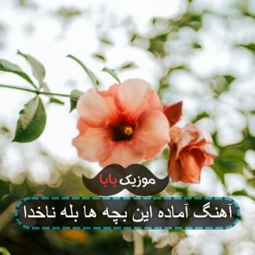 آهنگ آماده این بچه ها بله ناخدا آهنگ آماده این بچه ها بله ناخدا