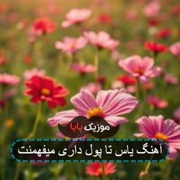 اهنگ یاس تا پول داری میفهمنت