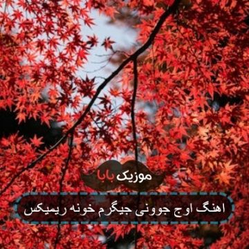 اهنگ لیوان به لیوان پیک شرابه اهنگ لیوان به لیوان پیک شرابه