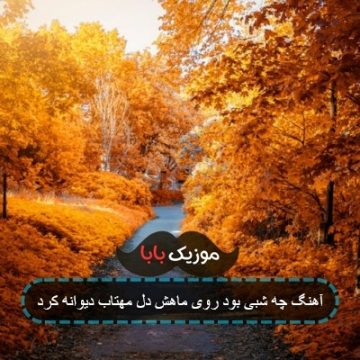 آهنگ چه شبی بود روی ماهش دل مهتاب دیوانه کرد