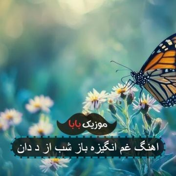 اهنگ غم انگیزه باز شب از د دان