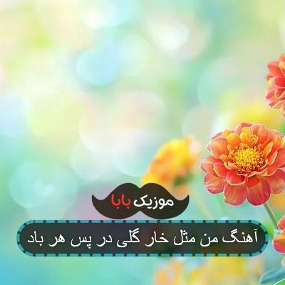 آهنگ من مثل خار گلی در پس هر باد