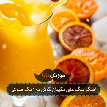 آهنگ سگ های نگهبان گوش به زنگ صوتی آهنگ سگ های نگهبان گوش به زنگ صوتی