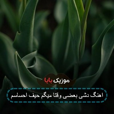 اهنگ دشی بعضی وقتا میگم حیف احساسم