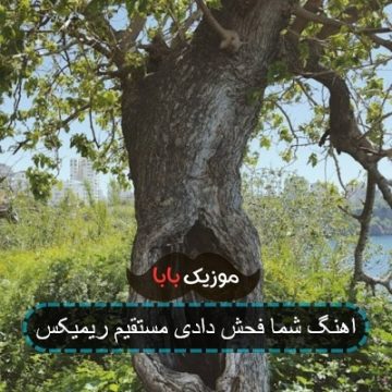 اهنگ شما فحش دادی مستقیم ریمیکس