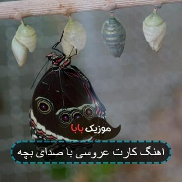 اهنگ کارت عروسی با صدای بچه اهنگ کارت عروسی با صدای بچه