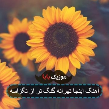 آهنگ اینجا تهرانه گنگ تر از تگزاسه