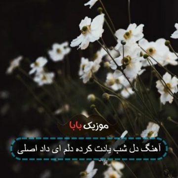 آهنگ دل شب یادت کرده دلم ای داد