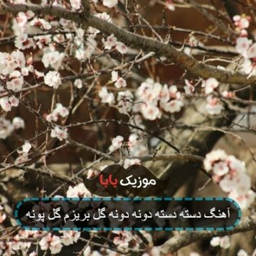 آهنگ دسته دسته دونه دونه گل بریزم گل پونه آهنگ دسته دسته دونه دونه گل بریزم گل پونه