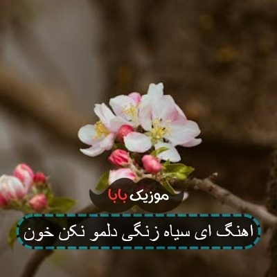 اهنگ ای دیار رنگی دلمو نکن خون