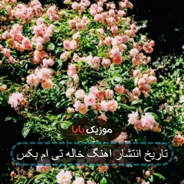 تاریخ انتشار اهنگ خاله تی ام بکس تاریخ انتشار اهنگ خاله تی ام بکس