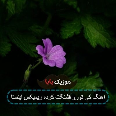 آهنگ کی تورو قشنگت کرده ریمیکس