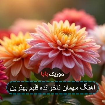 آهنگ مهمان ناخوانده قلبم بهترین همدم آهنگ مهمان ناخوانده قلبم بهترین همدم