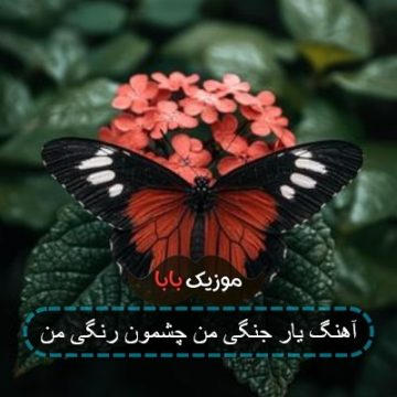 آهنگ یار جنگی من چشمون رنگی من