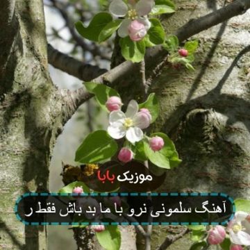 آهنگ سلمونی نرو با ما بد باش فقط ر