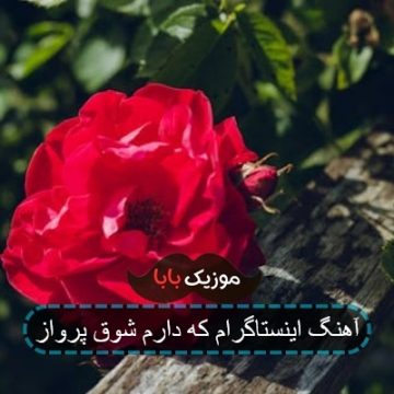 آهنگ اینستاگرام که دارم شوق پرواز
