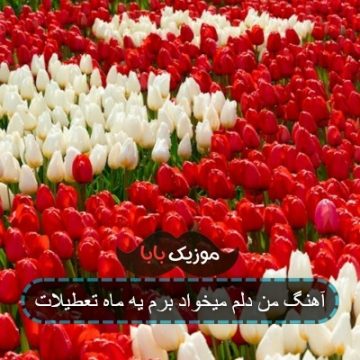 آهنگ من دلم میخواد برم یه ماه تعطیلات