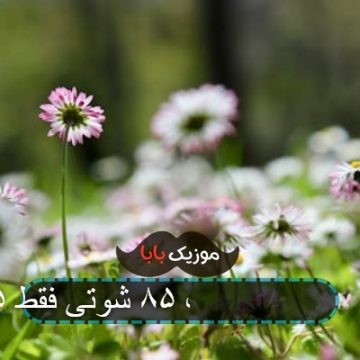 آهنگ زاهدان پلاک ۸۵ شوتی فقط ۴۰۵ آهنگ زاهدان پلاک ۸۵ شوتی فقط ۴۰۵
