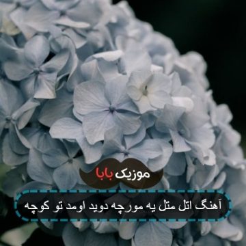 آهنگ مورچه جونم تو ماهی با صدای مرد
