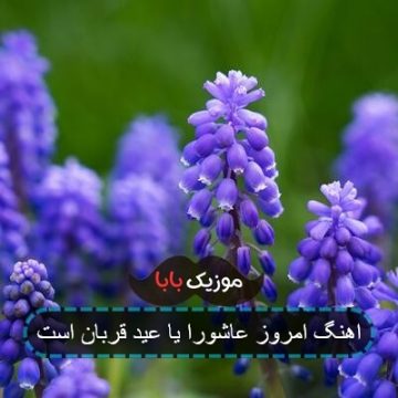 اهنگ امروز عاشورا یا عید قربان است اهنگ امروز عاشورا یا عید قربان است