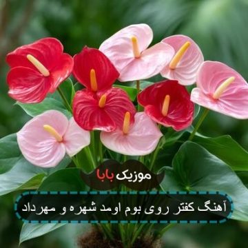 آهنگ کفتر روی بوم اومد شهره و مهرداد آهنگ کفتر روی بوم اومد شهره و مهرداد