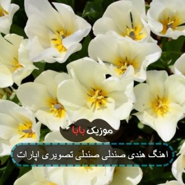 اموزش رقص هندی با آهنگ صندلی صندلی