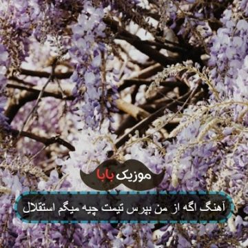 آهنگ اگه از من بپرس تیمت چیه میگم استقلال آهنگ اگه از من بپرس تیمت چیه میگم استقلال