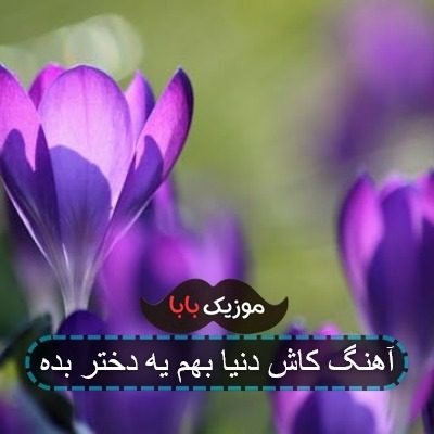 آهنگ کاش دنیا بهم یه دختر بده