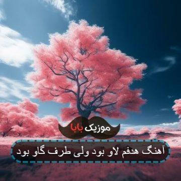 آهنگ هدفم لاو بود ولی طرف گاو بود