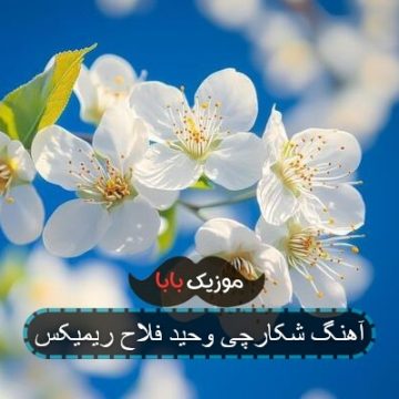 آهنگ شکارچی وحید فلاح ریمیکس