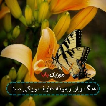 اهنگ راز زمونه عارف ویکی صدا اهنگ راز زمونه عارف ویکی صدا