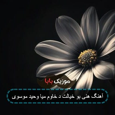 آهنگ هنی بو خیالت د خاوم میا وحید موسوی