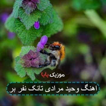 اهنگ وحید مرادی تانک نفر بر اهنگ وحید مرادی تانک نفر بر
