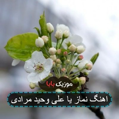 آهنگ استقلال قهرمان شده خدا میدونه که حقشه وحید مرادی