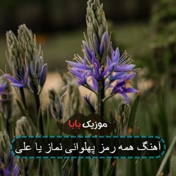 آهنگ همه رمز پهلوانی نماز یا علی آهنگ همه رمز پهلوانی نماز یا علی