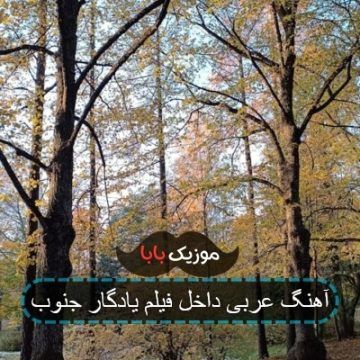 اهنگ عربی داخل فیلم یادگار جنوب