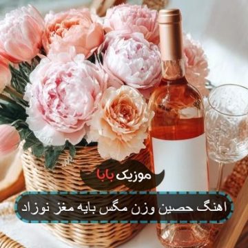 اهنگ حصین وزن مگس بایه مغز نوزاد