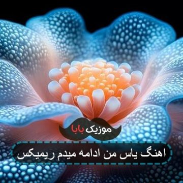 اهنگ یاس من ادامه میدم ریمیکس اهنگ یاس من ادامه میدم ریمیکس