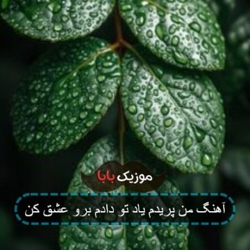 آهنگ من پریدم یاد تو دادم برو عشق کن آهنگ من پریدم یاد تو دادم برو عشق کن