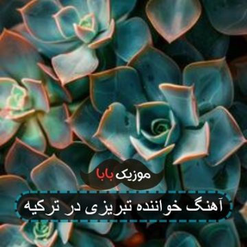 آهنگ خواننده تبریزی در ترکیه