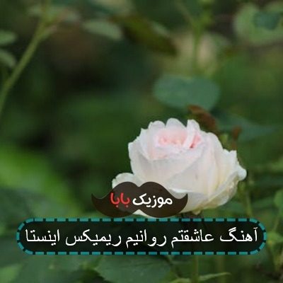 آهنگ عاشقتم روانیم ریمیکس اینستا