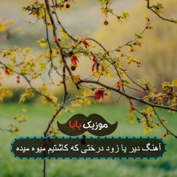 آهنگ دیر یا زود درختی که کاشتیم میوه میده آهنگ دیر یا زود درختی که کاشتیم میوه میده