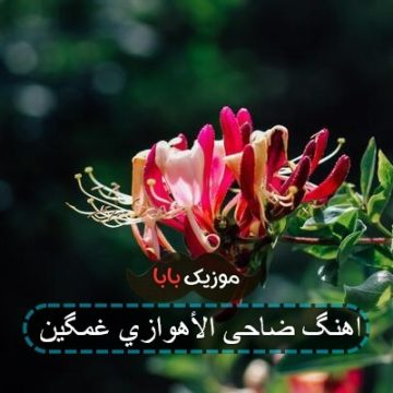 اهنگ ضاحی الاهوازی ناسی او ذکرونی بیک